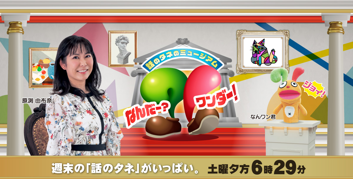 なんだー?ワンダー!